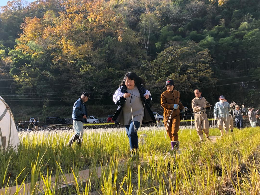 INAKAイルミ準備